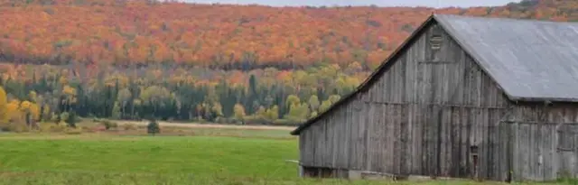 Weathered barn and fall hills beyond a green field
