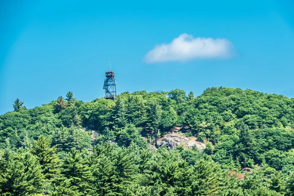 Lookout tower on a forested hilltop above the trees