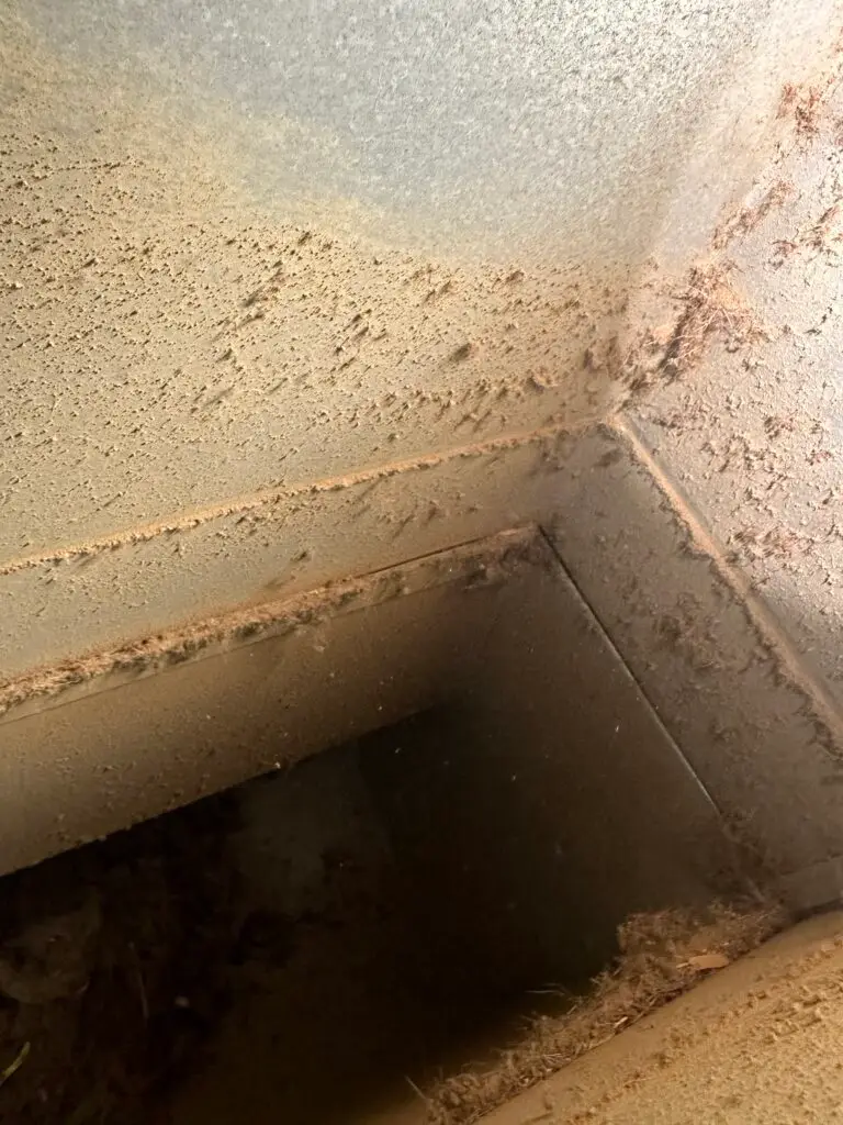 A close-up view of a dusty, dirty air duct or vent interior in need of duct cleaning Muskoka, with debris and cobwebs coating the metal surfaces and corners.