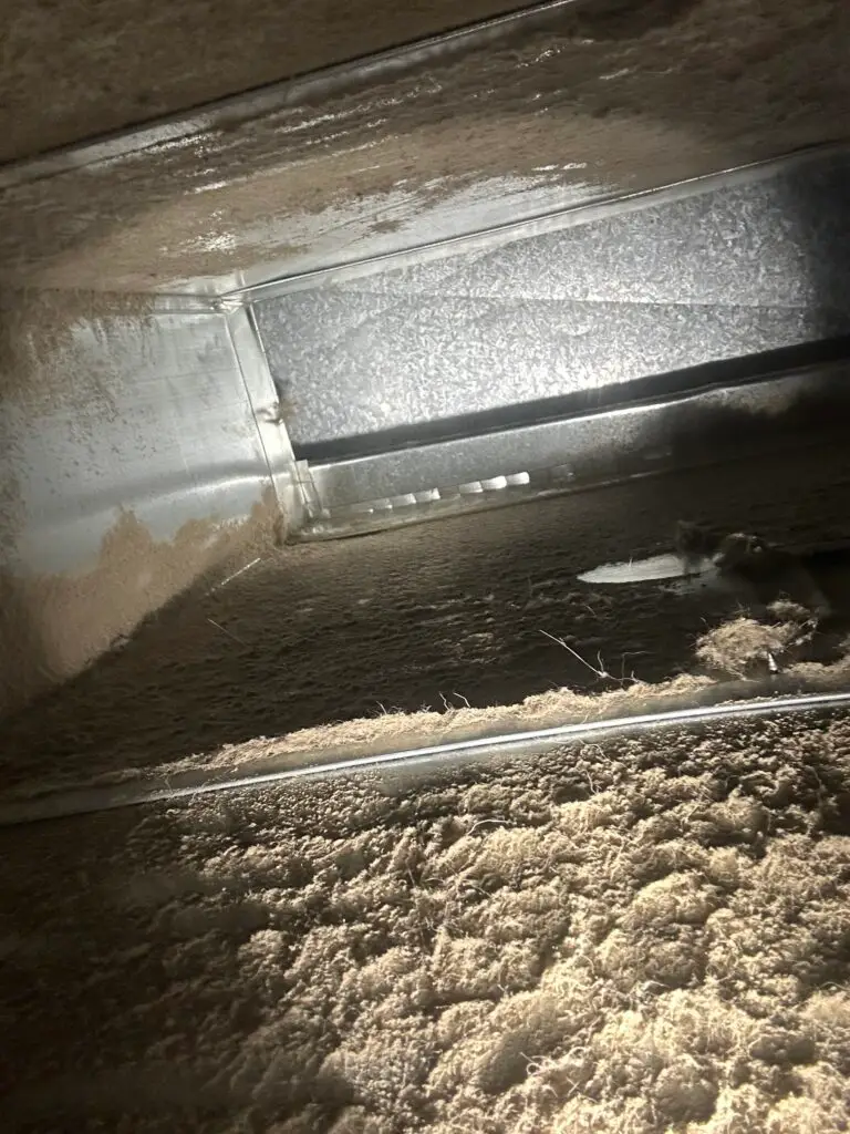 A dusty air duct interior with thick layers of dust and debris covering the surfaces, illuminated by a light source from above—highlighting the need for duct cleaning to improve indoor air quality.